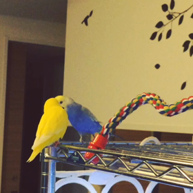 久しぶりのイチャつき動画！の画像