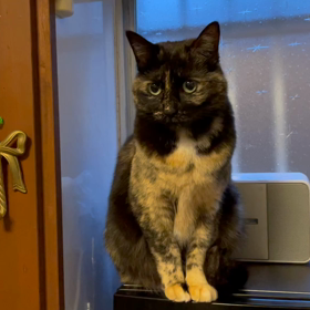 時間が欲しいの画像