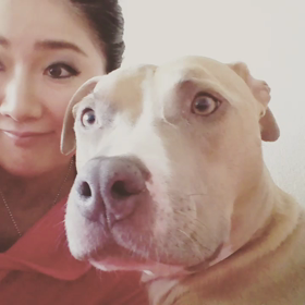 カメラ？カメラ？カメラ？の画像