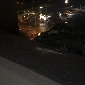 こやつは？？誰？誰⁇の画像