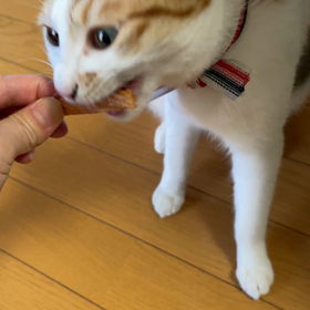 初めての…②の画像