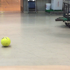 今日は…の画像