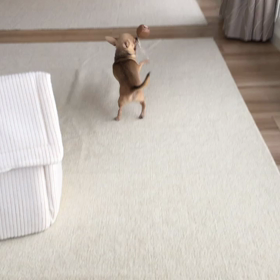 オモチャ遊びの画像