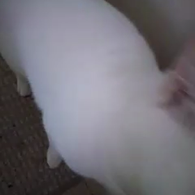 Z5ヒロ君洋君の画像