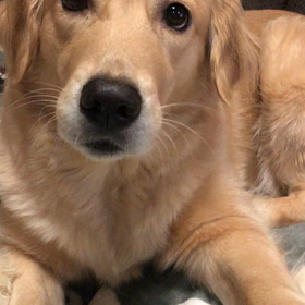 お疲れ〜の画像