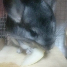 夏バテ にはの画像