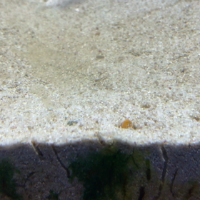 體・からだ・空だ  〜身体と痛み〜の画像