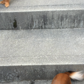 お出迎えの画像