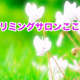 11月　〜スライドショー〜の画像