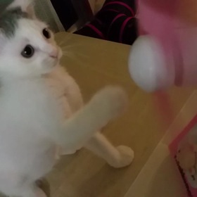 麦VS扇風機の画像