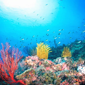 最高気温！の画像