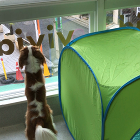 ♪年末年始のプレイルーム動画♪ラストの画像