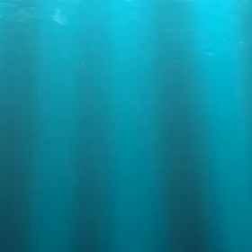 お店の動画作成してみました‼️の画像