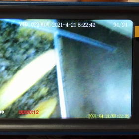 今朝の巣箱の中の画像