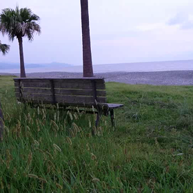 こころ静に (´∇｀)の画像