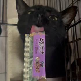 食いしん坊爺さんの画像