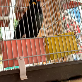 “なにー？？”の画像