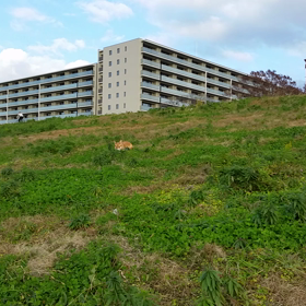 ②またまたトレーニングから…のおまけの画像