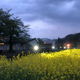 只見線撮影の画像