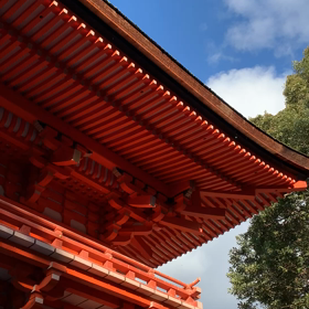 下鴨神社　動画の画像