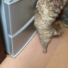 ストレス解消法の画像