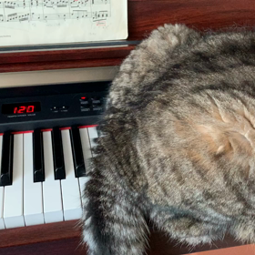 師匠...。の画像