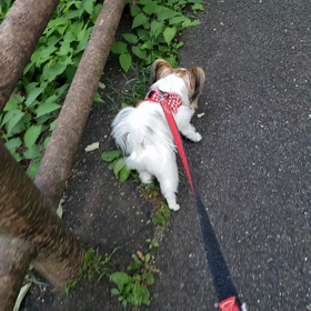 めいさまの画像