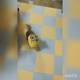 無意味な声かけの画像