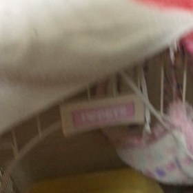 デールの2日連続おしっこ事件から一週間の検証。の画像