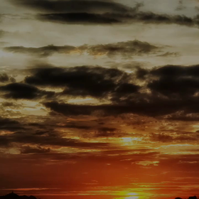 取り戻したいの画像