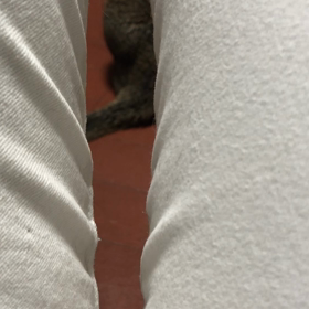 黒いのは‥の画像