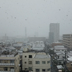 1/26　雪の画像