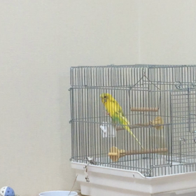 どう見えるか❓の画像