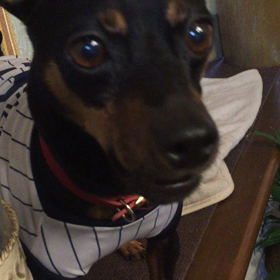 夏休み満喫だい！の画像