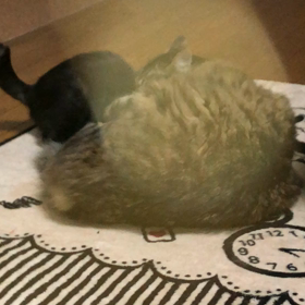 夜中の2時頃にの画像