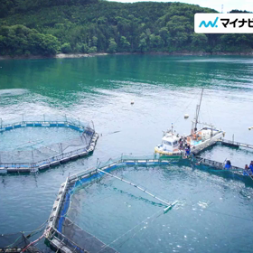 ラジオ生出演決定⭐の画像