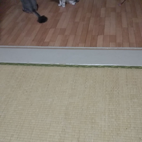 危ない危ないの画像