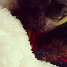 カミカミパート②の画像