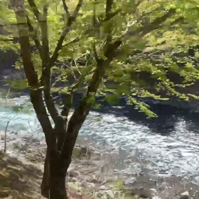 トロッコ列車の旅の続き編の画像