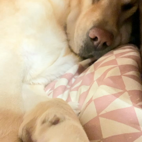 8歳のお誕生日の画像