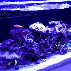 今日も変わりなくの画像