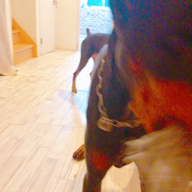 死ぬかと思ったの画像