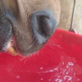 水分補給の画像