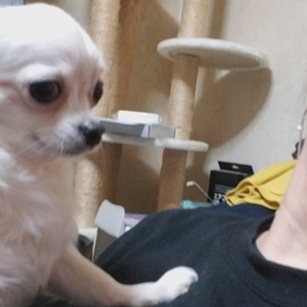 お手手が出ちゃうの画像