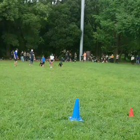 ダッシュ(青・緑グループ)①の画像