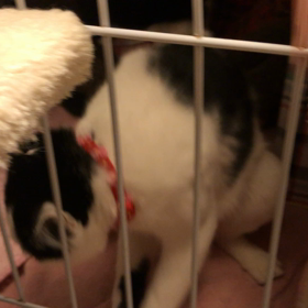 脱皮してないの‼️またもやの画像