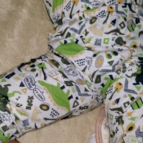 イビキの合唱の画像