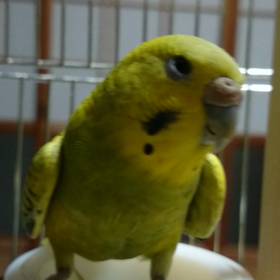 まっちゃさん(о´∀`о)ノの画像