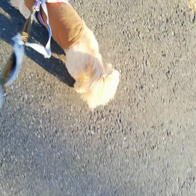 ポカポカタイムに間に合った〜♬の画像