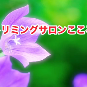 スライドショーの画像